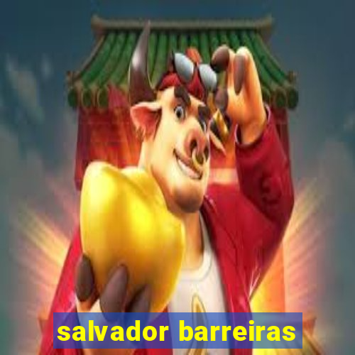 salvador barreiras